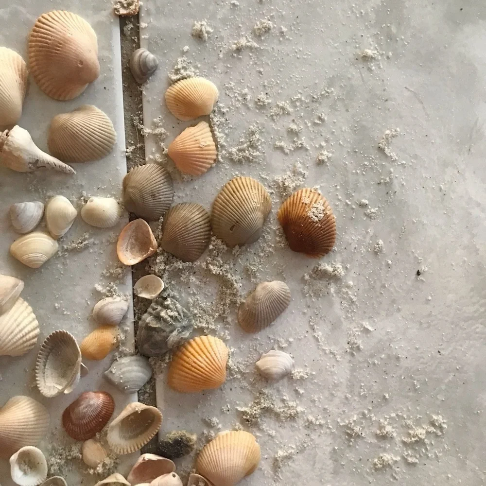 Custom shell bundle — PLEASE READ - Picture 5 of 16